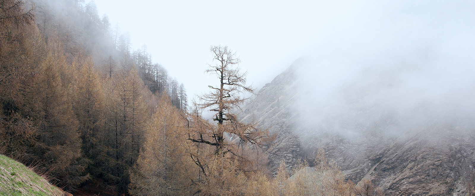 手机版ddos攻击器